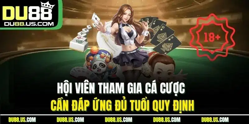 Điều Khoản Và Điều Kiện Du88 | Chính Sách Tham Gia 2026 - lavor