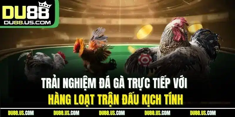 Giới Thiệu DU88 | Thông Tin Web Cá Cược Uy Tín 2026 - lavor