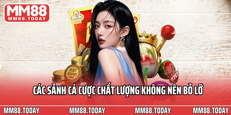 Giới Thiệu MM88 Điểm Đến Cá Cược Uy Tín Số 1 Tại Việt Nam - lavor