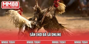 Đá Gà MM88 – Đấu Trường Kịch Tính Của Những Chiến Kê Hàng Đầu - lavor