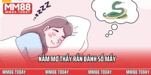 Xổ Số MM88 – Điểm Đến Hấp Dẫn Với Tỷ Lệ Thưởng 1 Ăn 99 - lavor