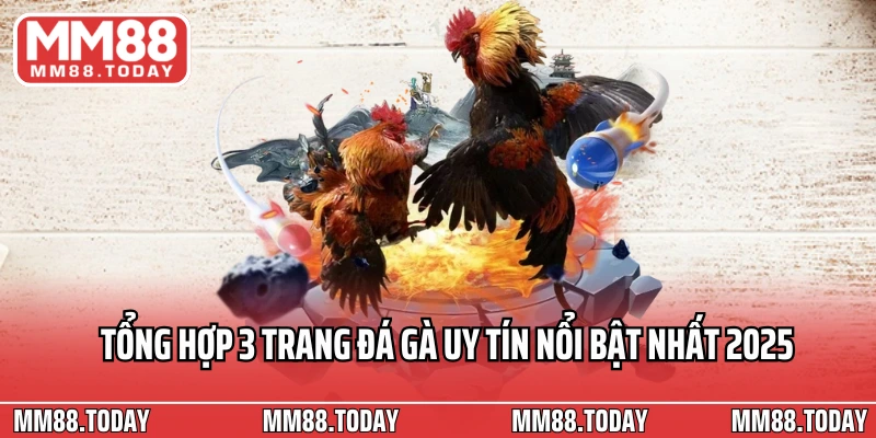 Trang Đá Gà Uy Tín 2026 Đánh Giá Các Địa Chỉ Chất Lượng Hàng Đầu - lavor