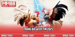 Mục Tin Tức MM88 – Kho Tàng Thông Tin Dành Riêng Cho Dân Cá Cược - lavor