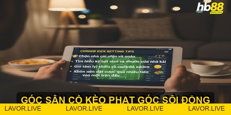 Kèo phạt góc là gì và cách soi kèo hiệu quả cho người mới - lavor