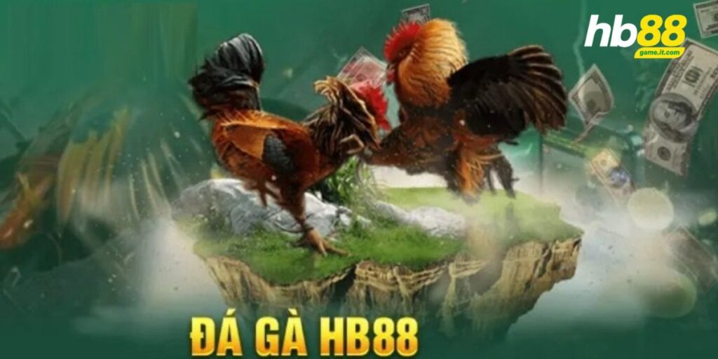 Luật đá gà miền Bắc - Cập nhật chi tiết và đầy đủ nhất 2026 - lavor
